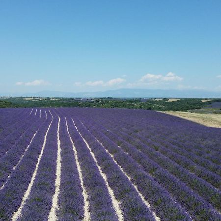 Le Jas Des Aiguiers Hotel Saint-Saturnin-d'Apt Eksteriør billede