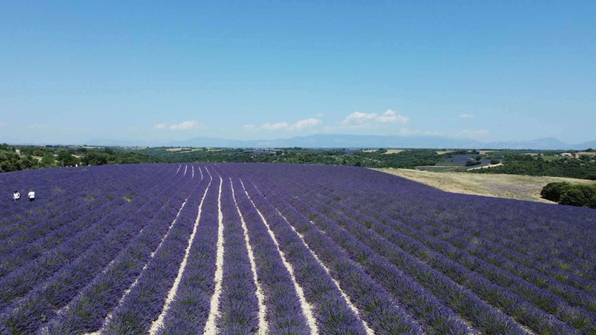 Le Jas Des Aiguiers Hotel Saint-Saturnin-d'Apt Eksteriør billede